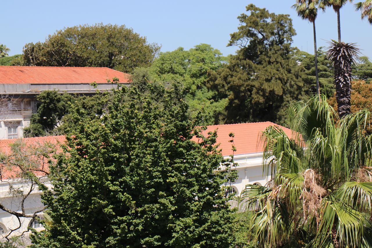 Botanic Views Guest House Lisboa Eksteriør billede