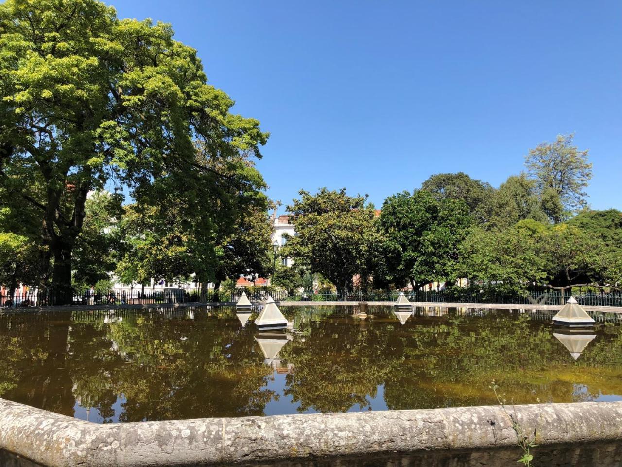 Botanic Views Guest House Lisboa Eksteriør billede